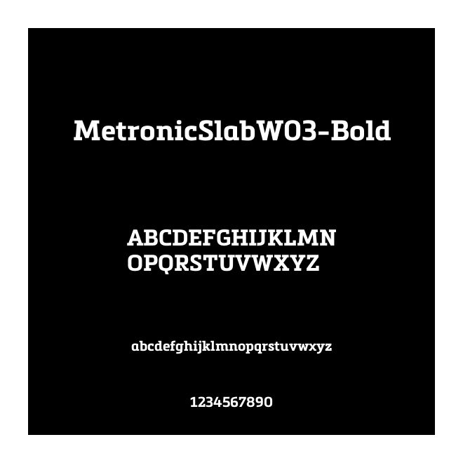 MetronicSlabW03-Bold