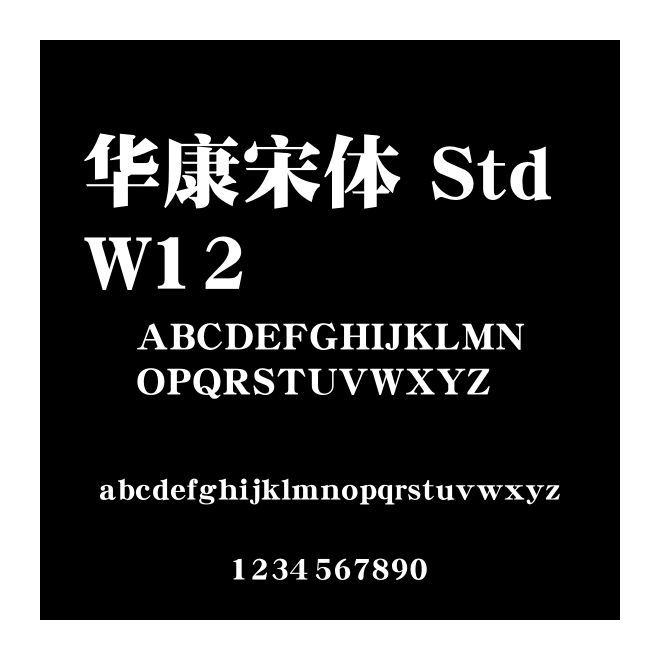 華康宋體 Std W12