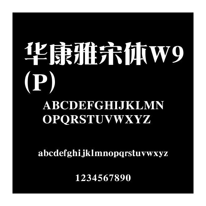 華康雅宋體W9(P)