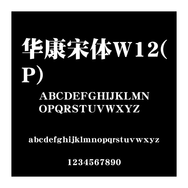 華康宋體W12(P)