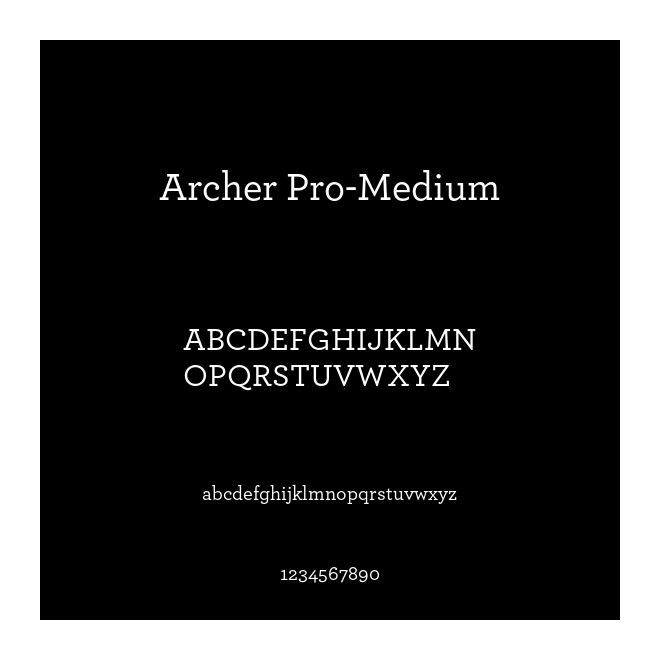 Archer Pro-Medium
