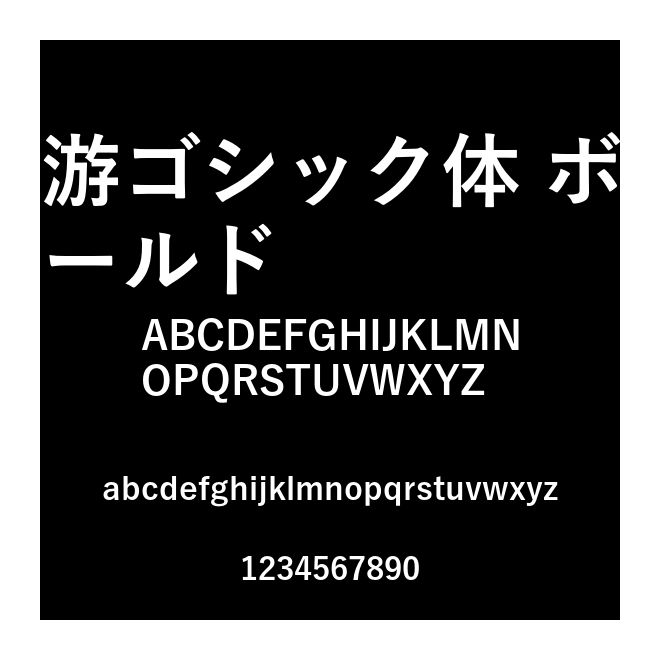 游ゴシック體 ボールド
