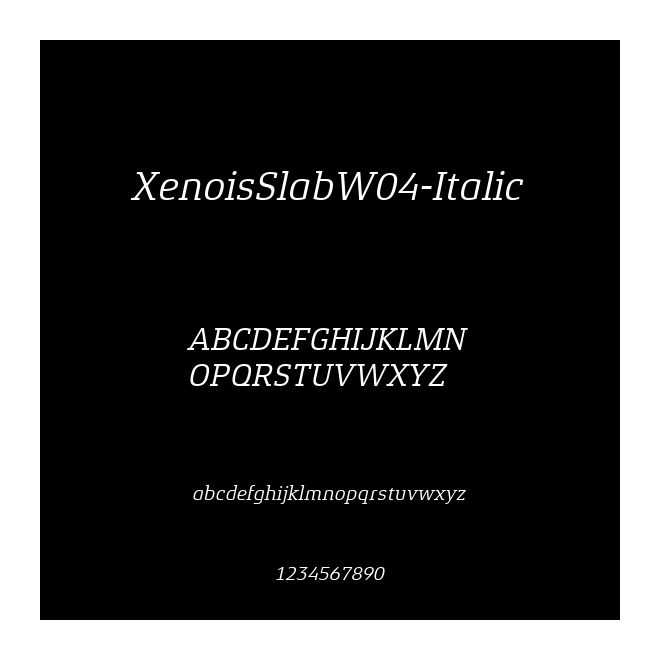 XenoisSlabW04-Italic