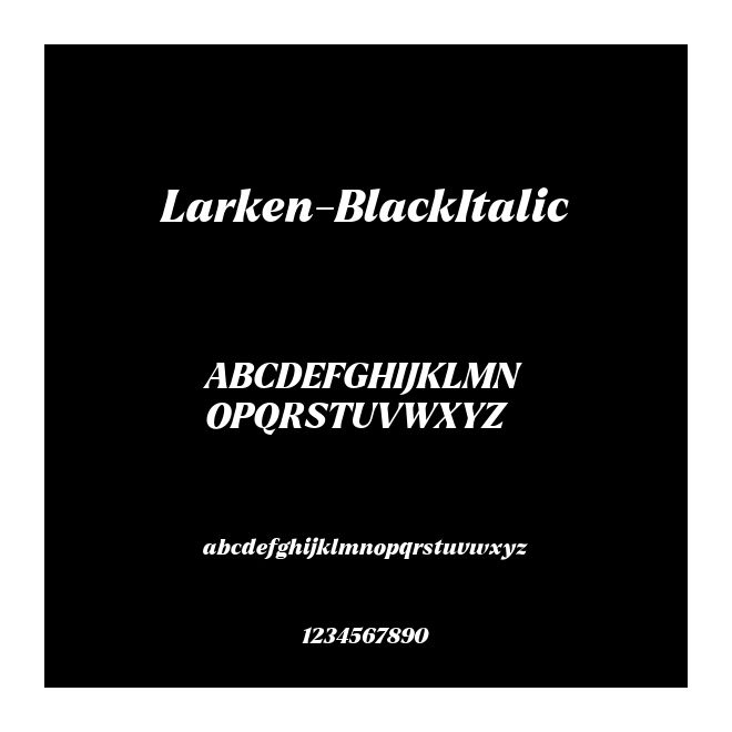 Larken-BlackItalic