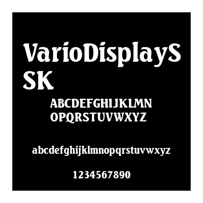 VarioDisplaySSK