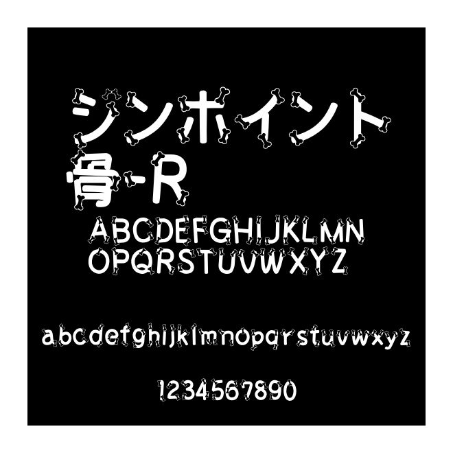 ジンポイント骨-R