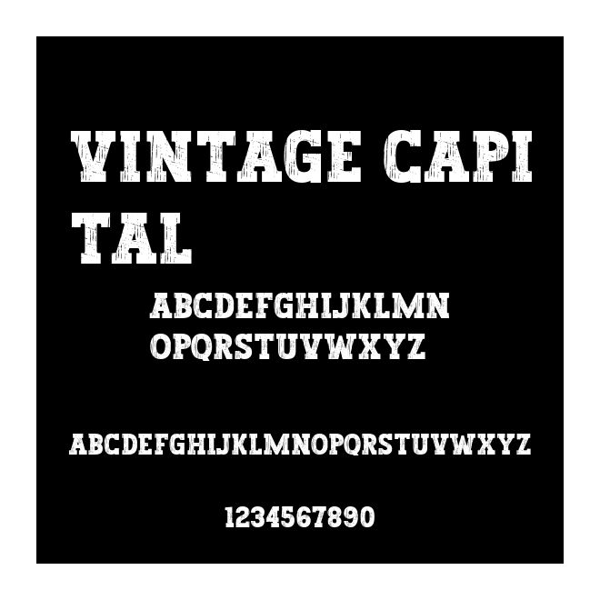 Vintage Capital