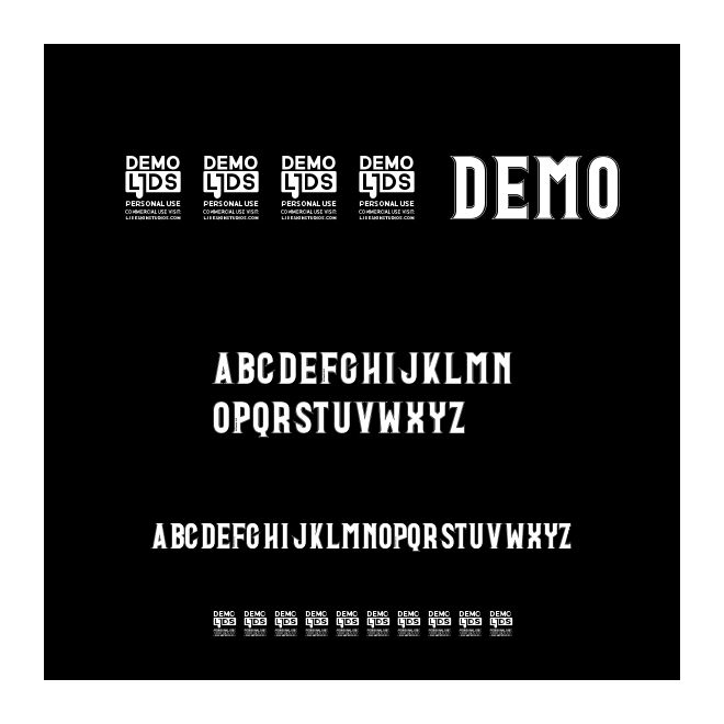 1993 DEMO