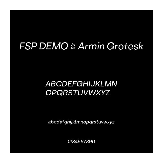 FSP DEMO - Armin Grotesk