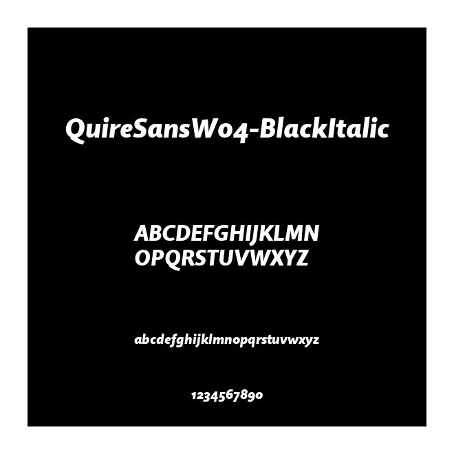 QuireSansW04-BlackItalic