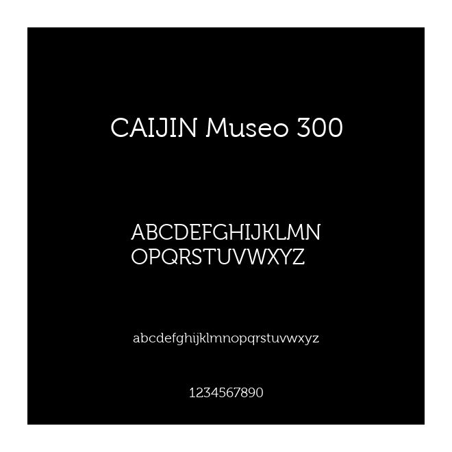 CAIJIN Museo 300