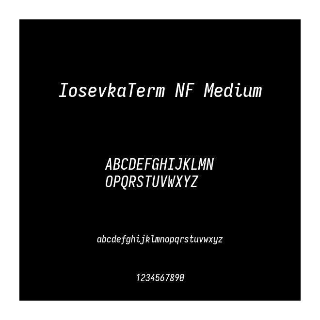 IosevkaTerm NF Medium