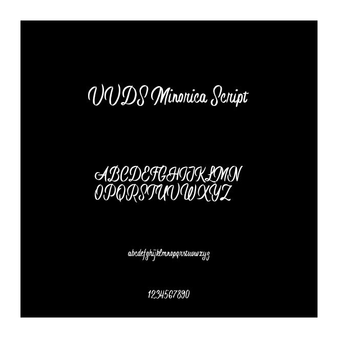 VVDS Minorica Script