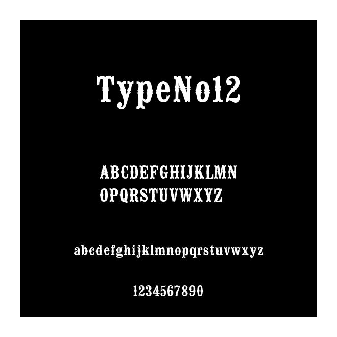 TypeNo12