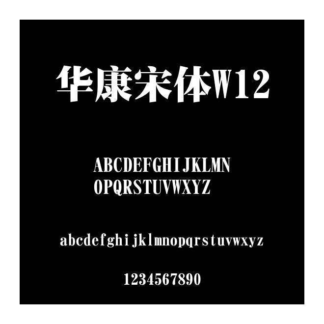 華康宋體W12