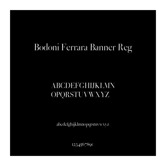 Bodoni Ferrara Banner Reg