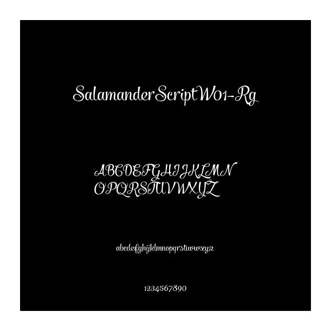 SalamanderScriptW01-Rg