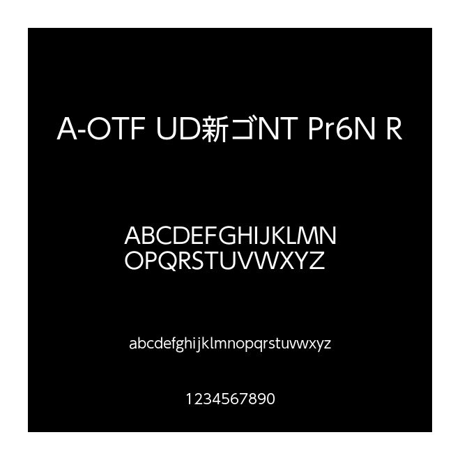 A-OTF UD新ゴNT Pr6N R
