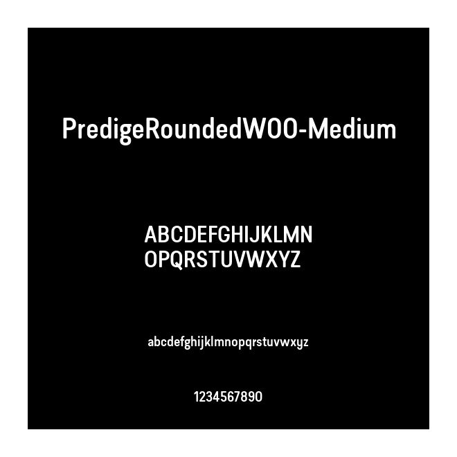 PredigeRoundedW00-Medium