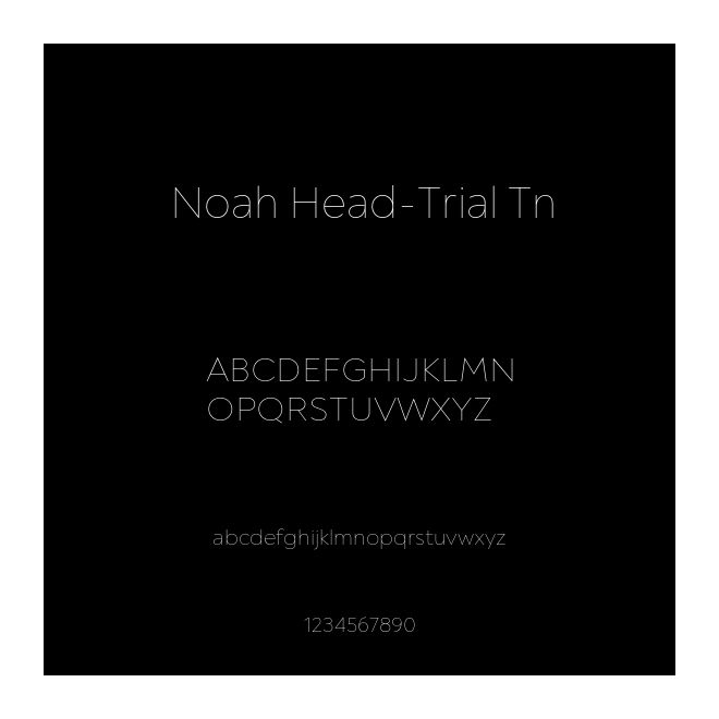 Noah Head-Trial Tn