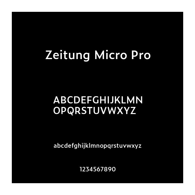 Zeitung Micro Pro