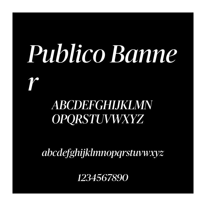Publico Banner