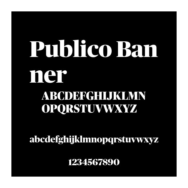 Publico Banner