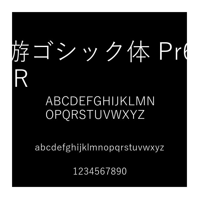 游ゴシック體 Pr6 R