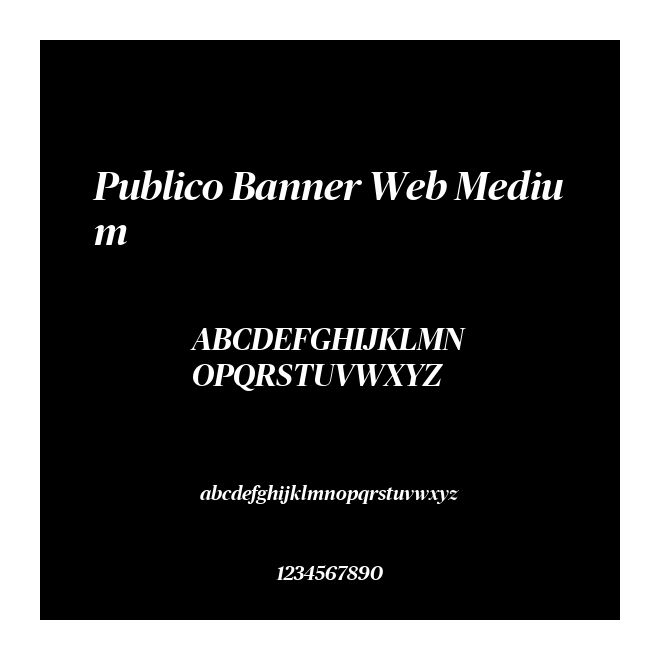 Publico Banner Web Medium