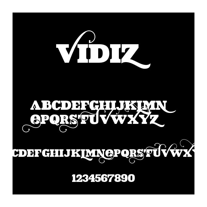 VIDIZ