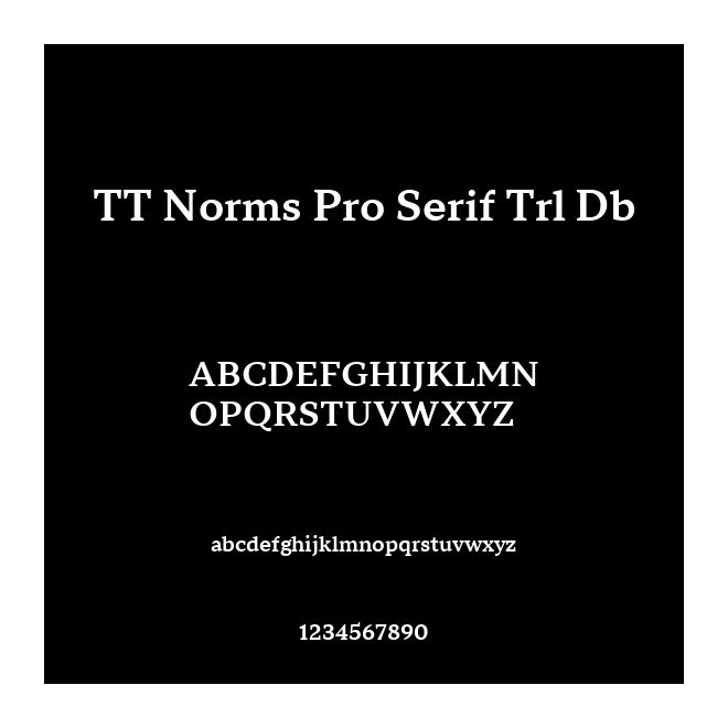 TT Norms Pro Serif Trl Db