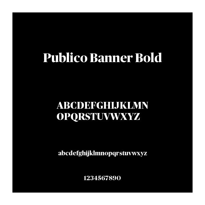 Publico Banner Bold