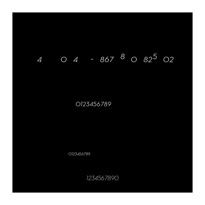NeutraText-LightItalicFract