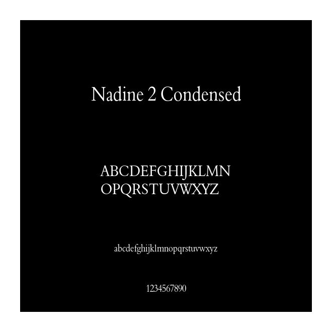 Nadine 2 Condensed