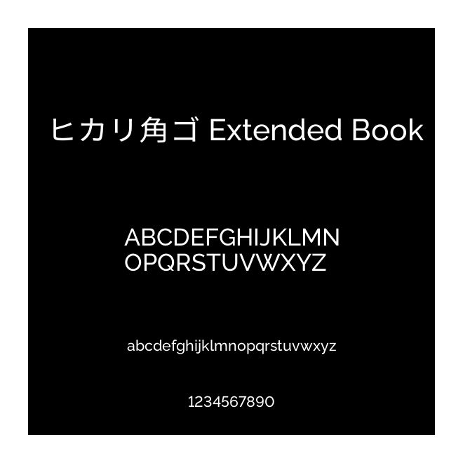 ヒカリ角ゴ Extended Book