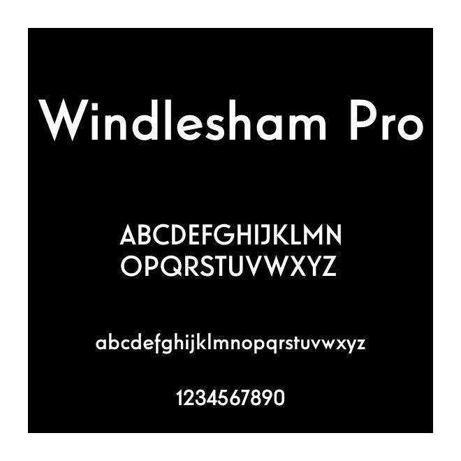 Windlesham Pro