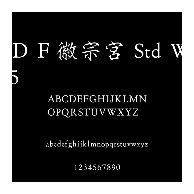 ＤＦ徽宗宮 Std W5