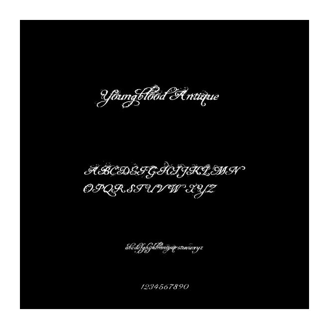 Youngblood Antique