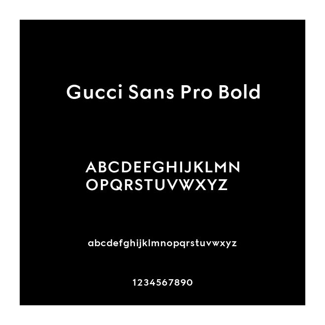 Gucci Sans Pro Bold