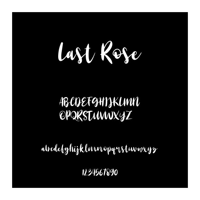 Last Rose
