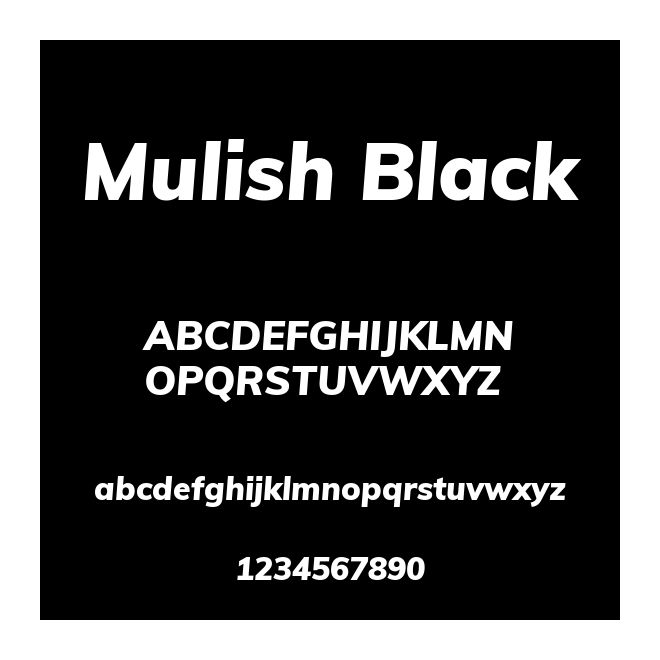 Mulish Black