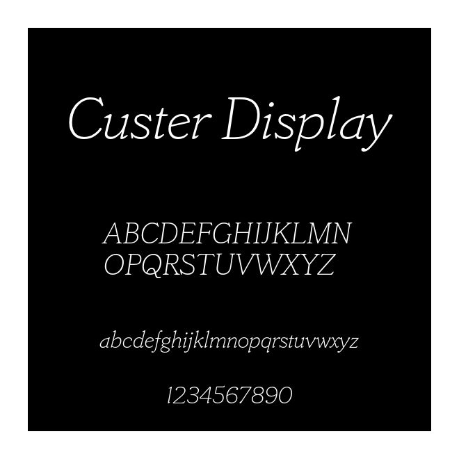 Custer Display