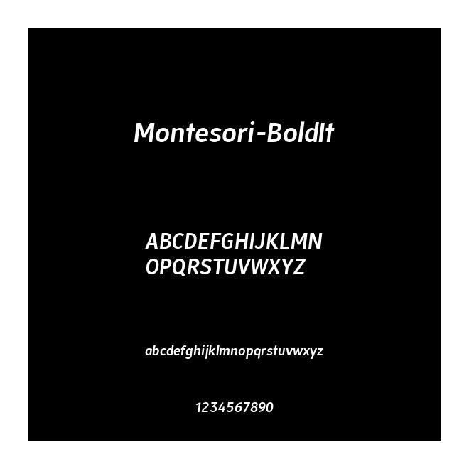 Montesori-BoldIt