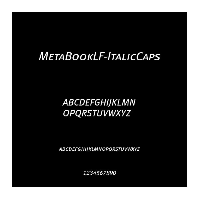 MetaBookLF-ItalicCaps