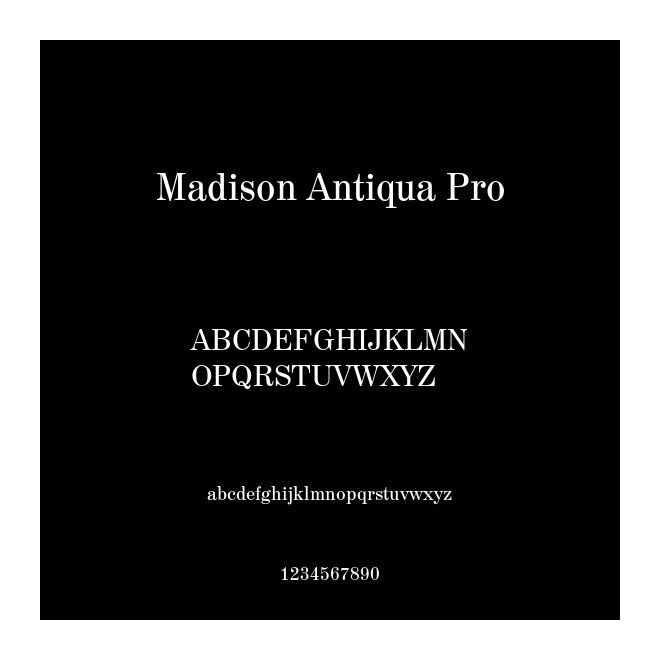 Madison Antiqua Pro