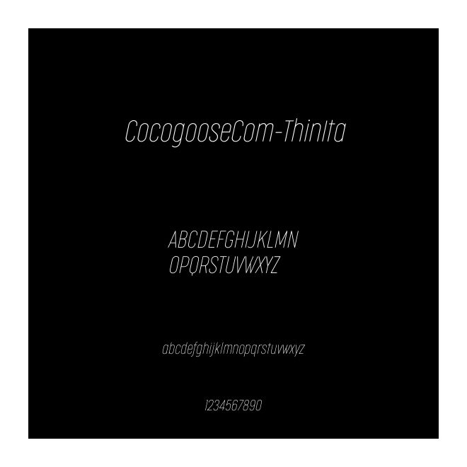 CocogooseCom-ThinIta