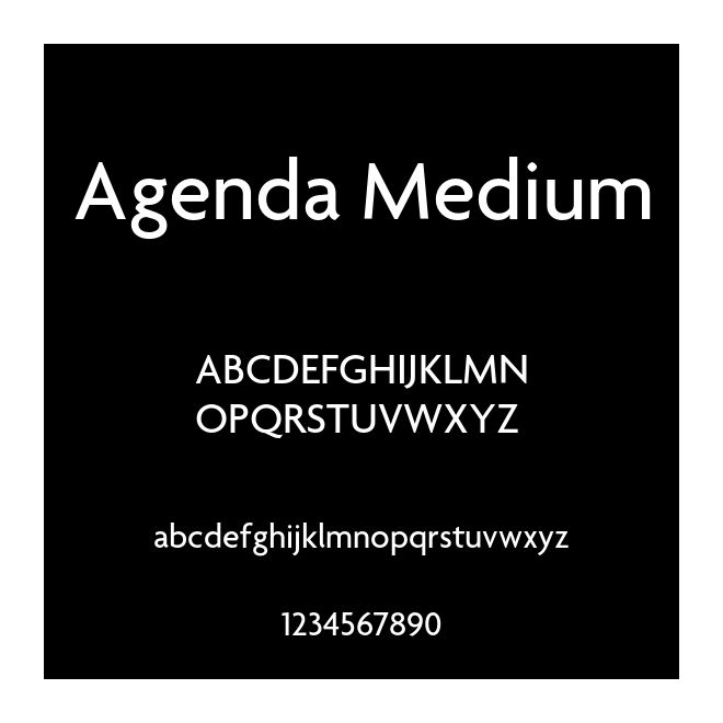 Agenda Medium