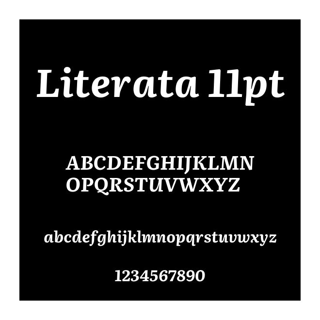 Literata 11pt