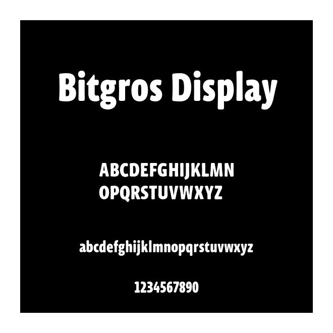 Bitgros Display