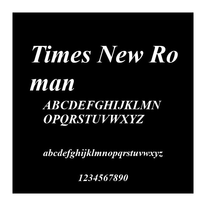 Times New Roman